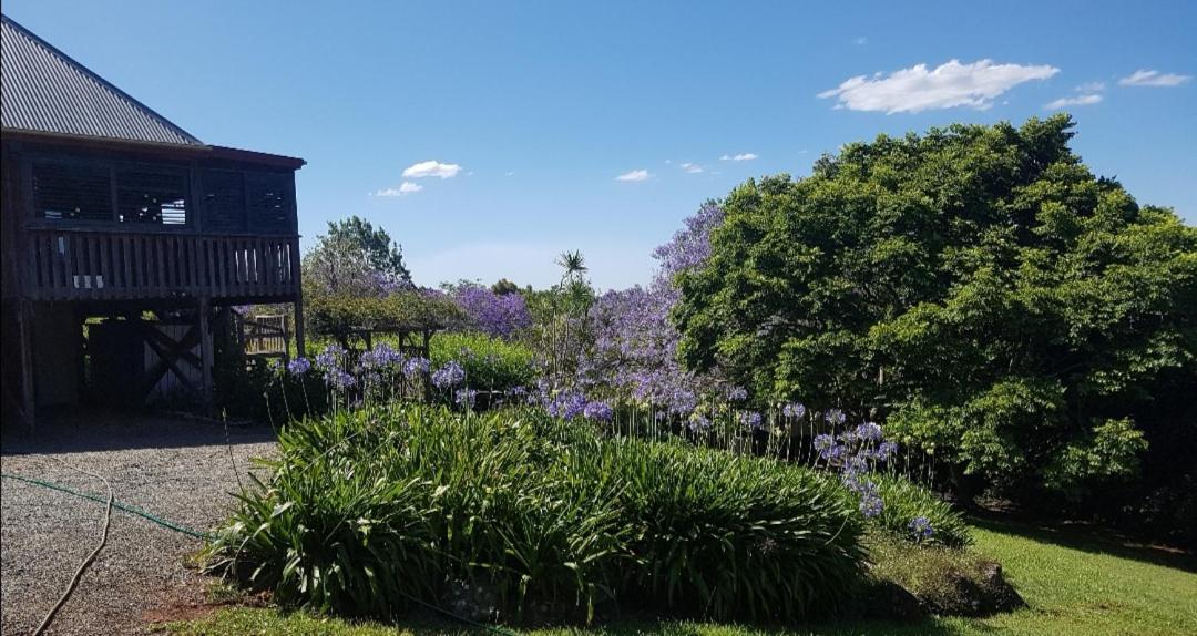 Wyndover Mountain Retreat Beechmont 外观 照片