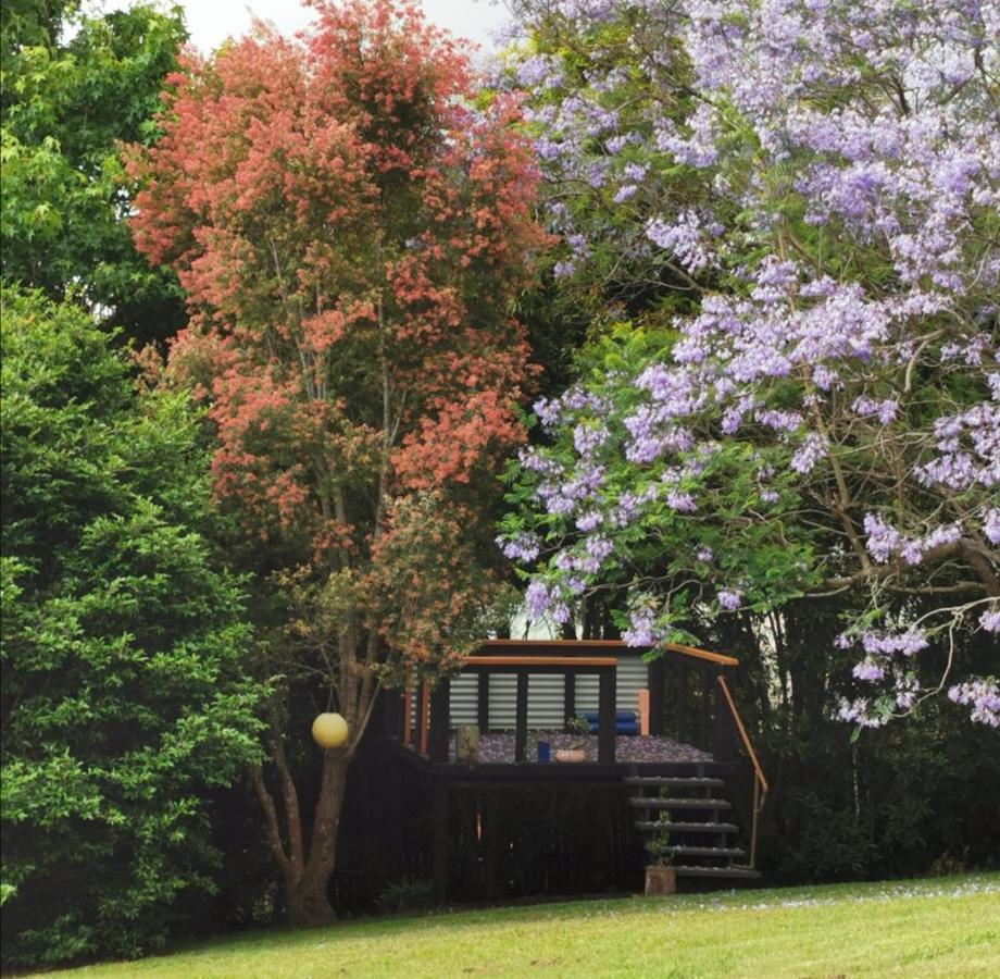 Wyndover Mountain Retreat Beechmont 外观 照片