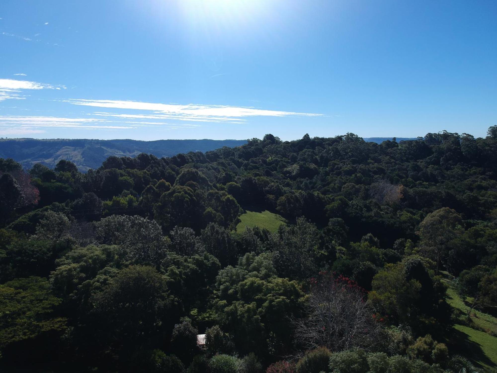 Wyndover Mountain Retreat Beechmont 外观 照片