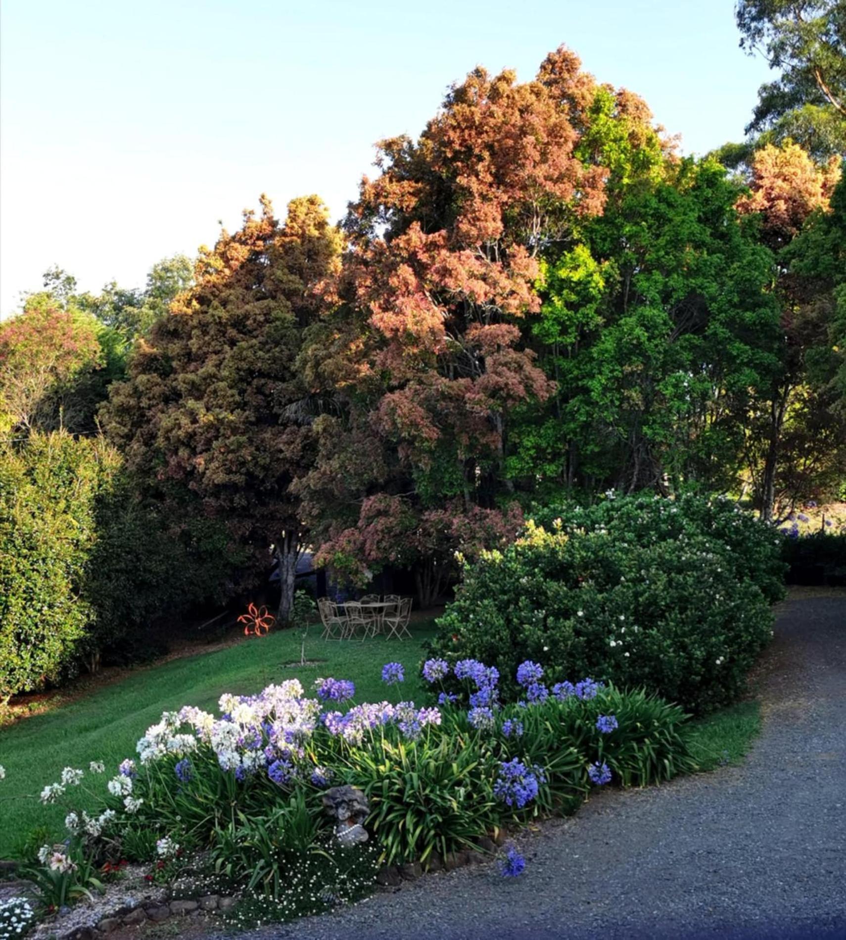 Wyndover Mountain Retreat Beechmont 外观 照片