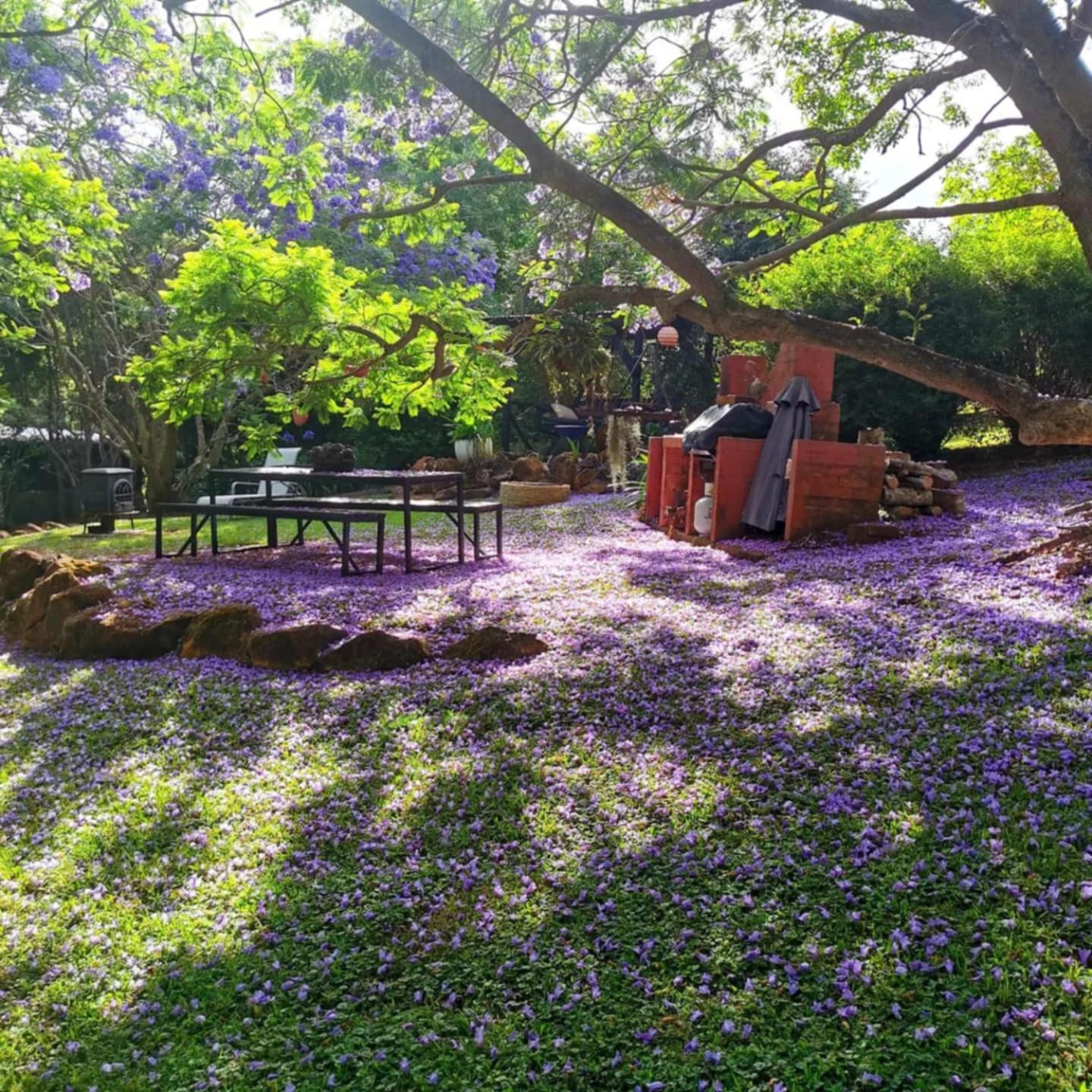 Wyndover Mountain Retreat Beechmont 外观 照片