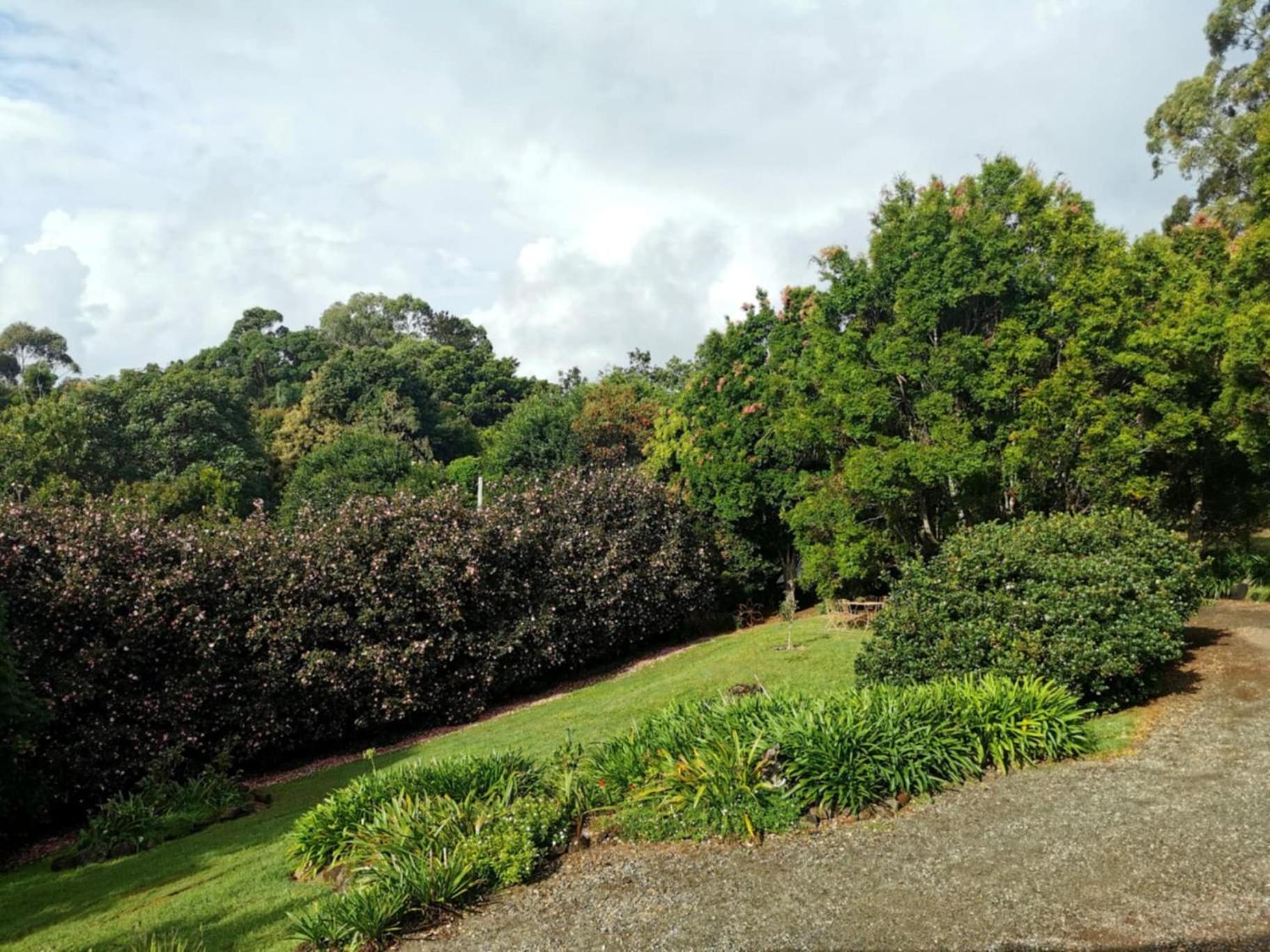 Wyndover Mountain Retreat Beechmont 外观 照片