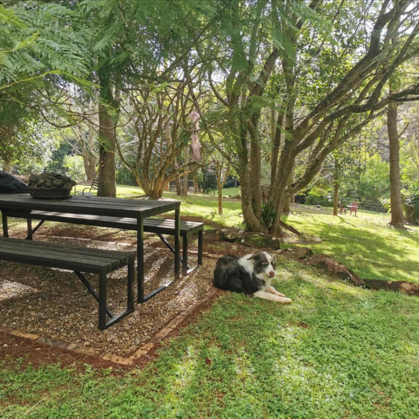 Wyndover Mountain Retreat Beechmont 外观 照片