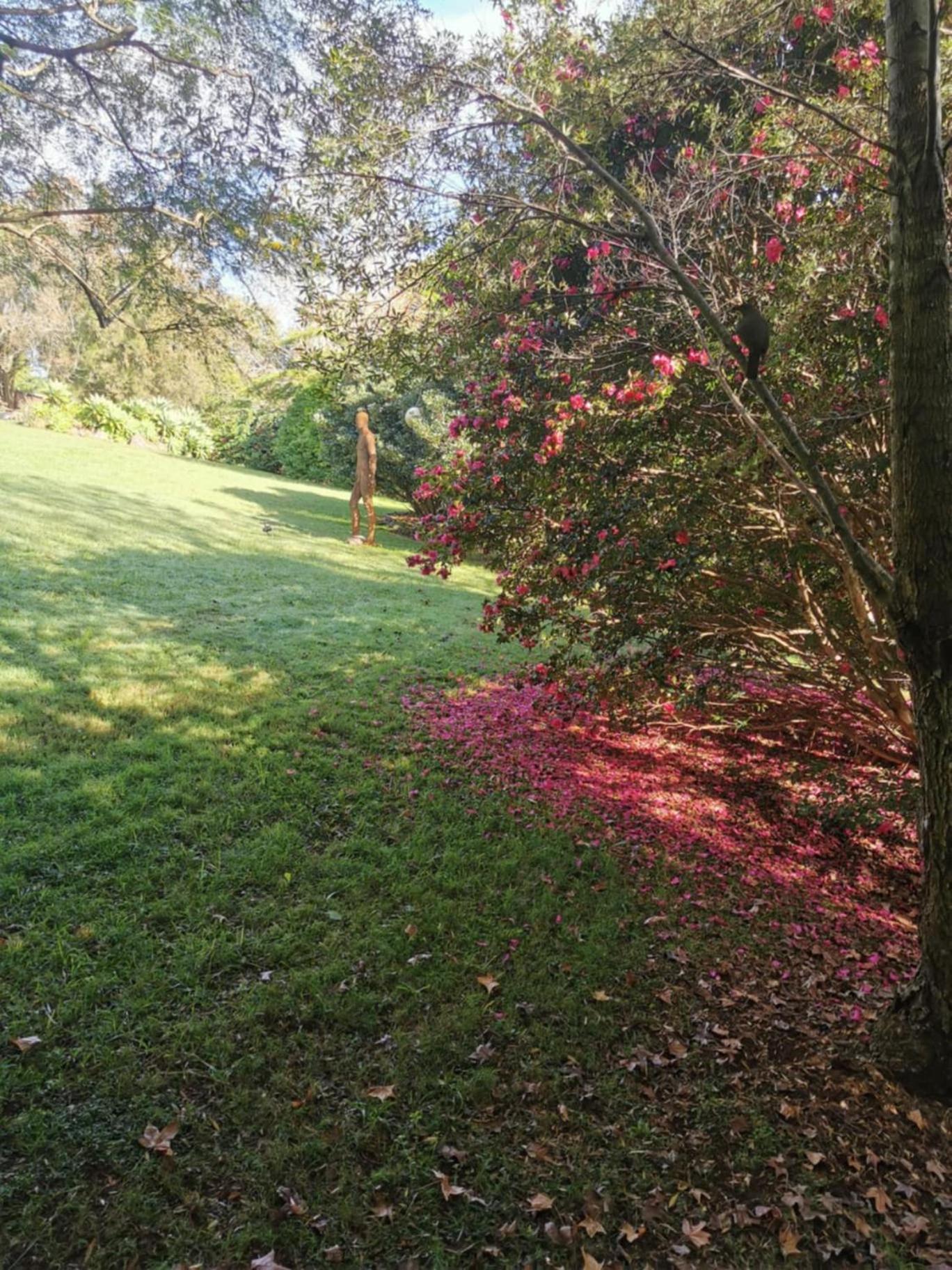 Wyndover Mountain Retreat Beechmont 外观 照片