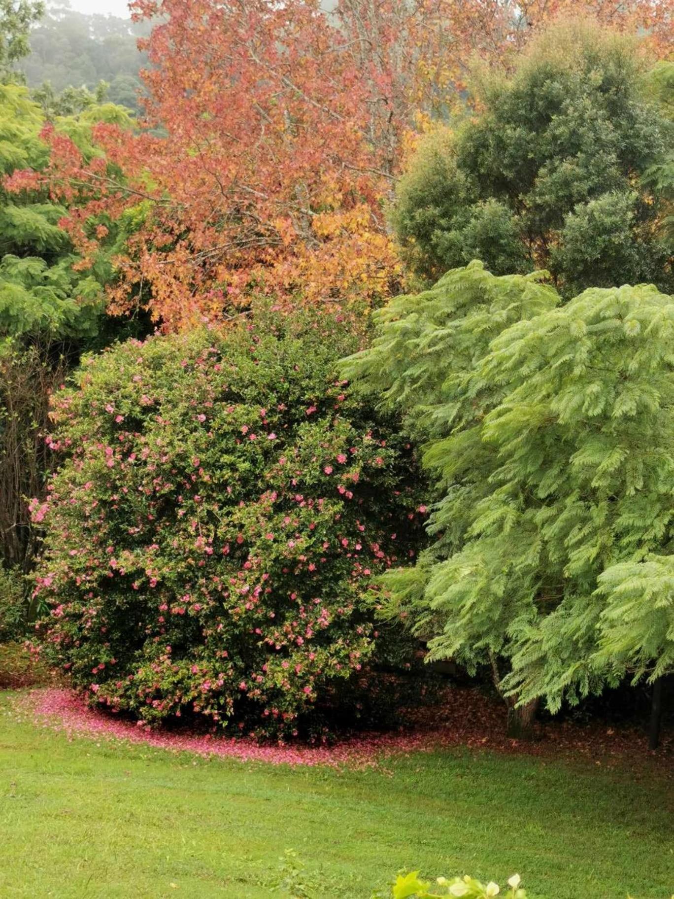 Wyndover Mountain Retreat Beechmont 外观 照片