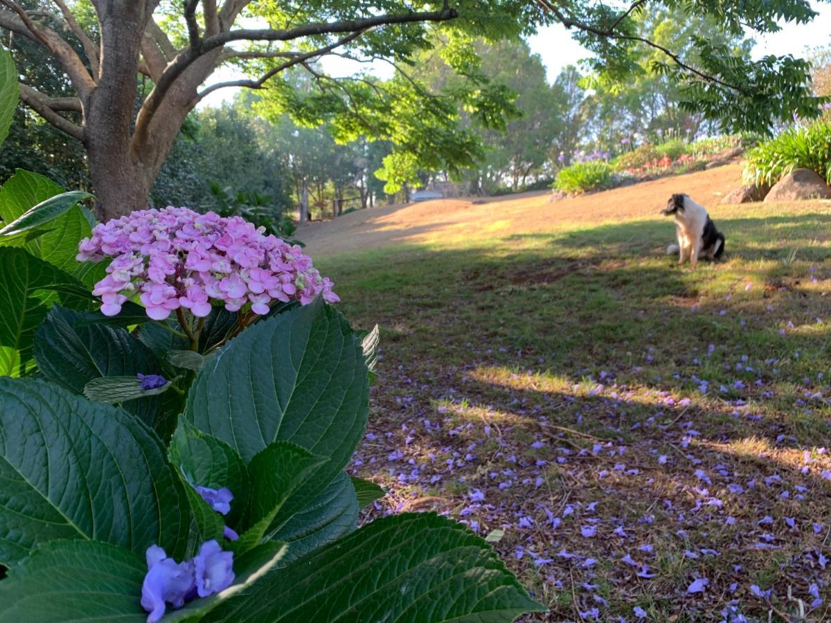 Wyndover Mountain Retreat Beechmont 外观 照片